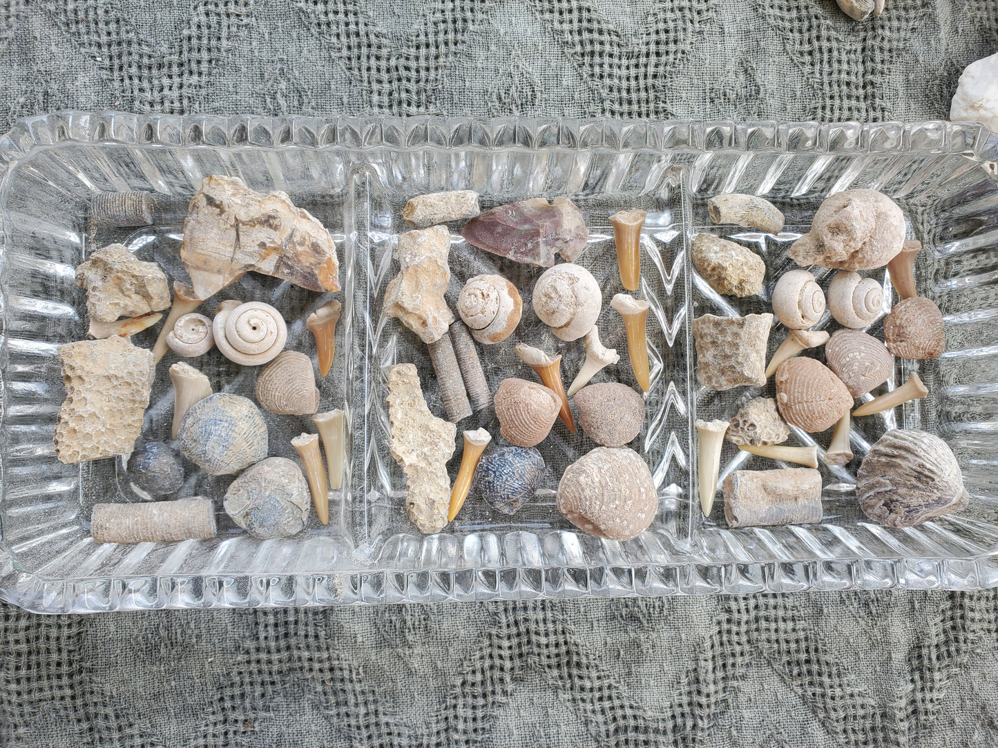Fossil Bundles