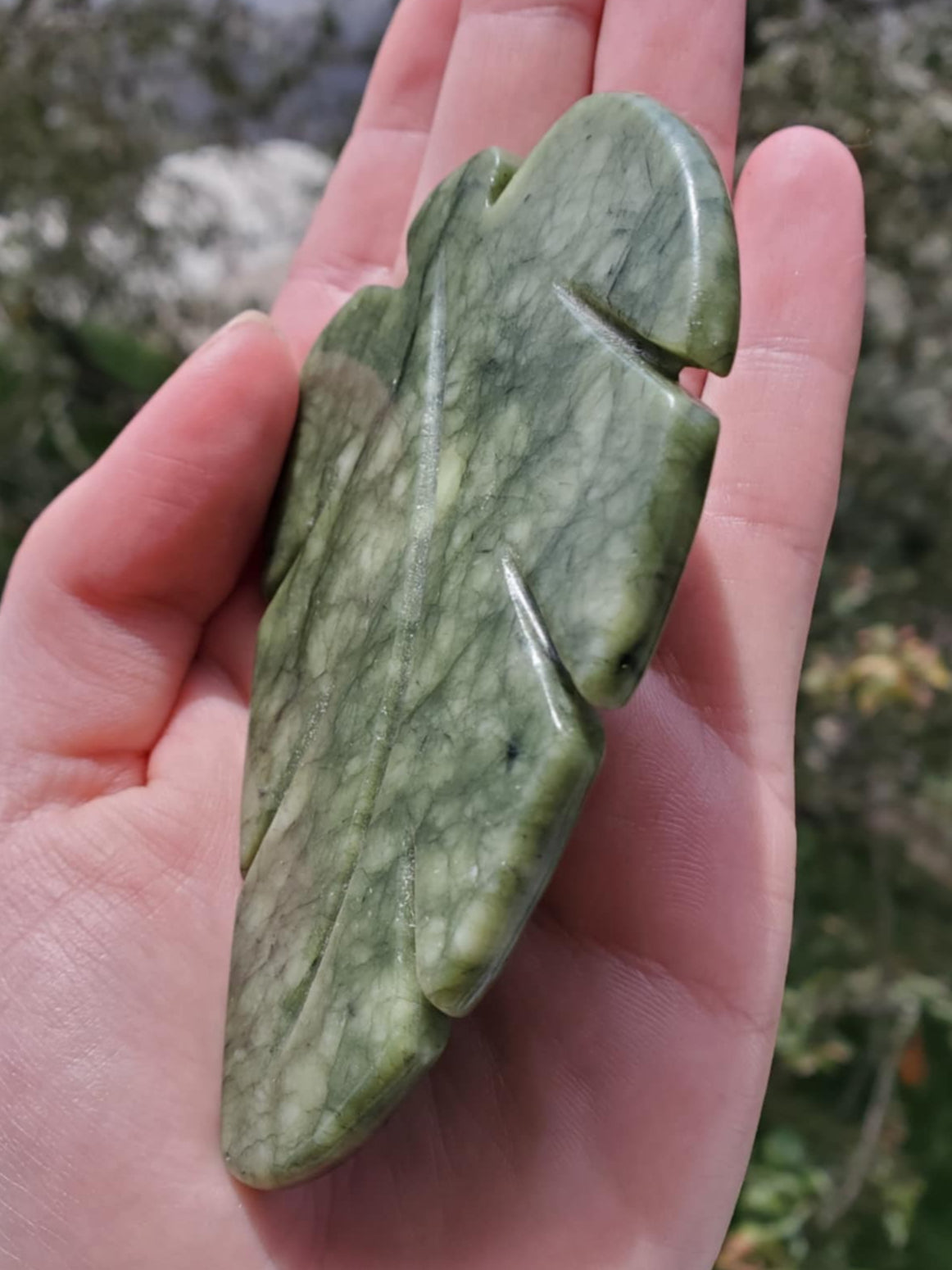 Green Jade Leaf