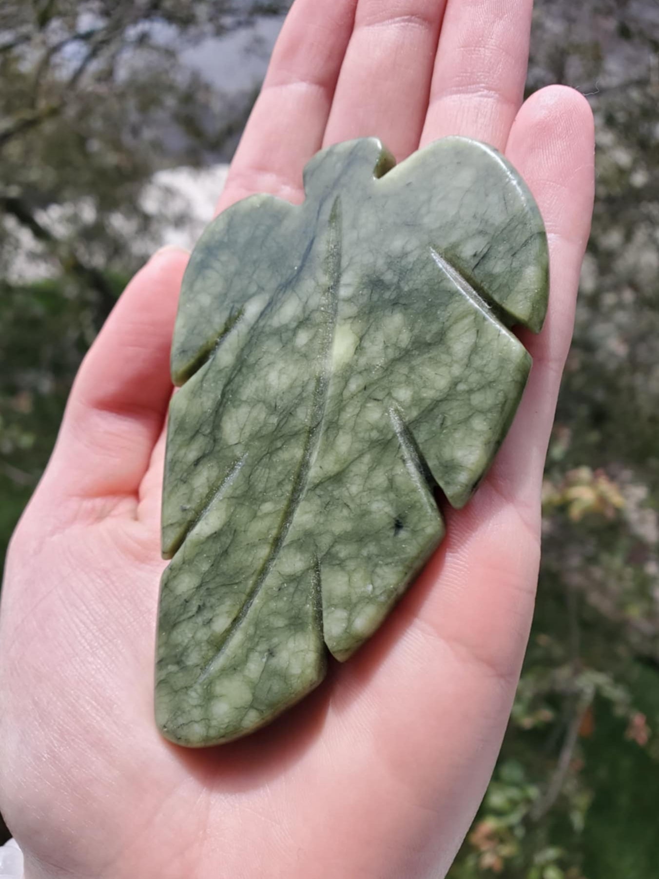 Green Jade Leaf