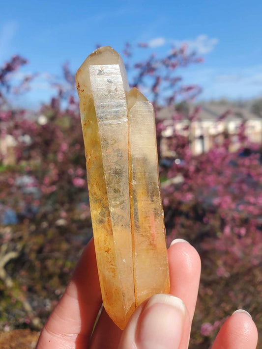 Natural Citrine Point, 3.5" - "Gift of Abundance"