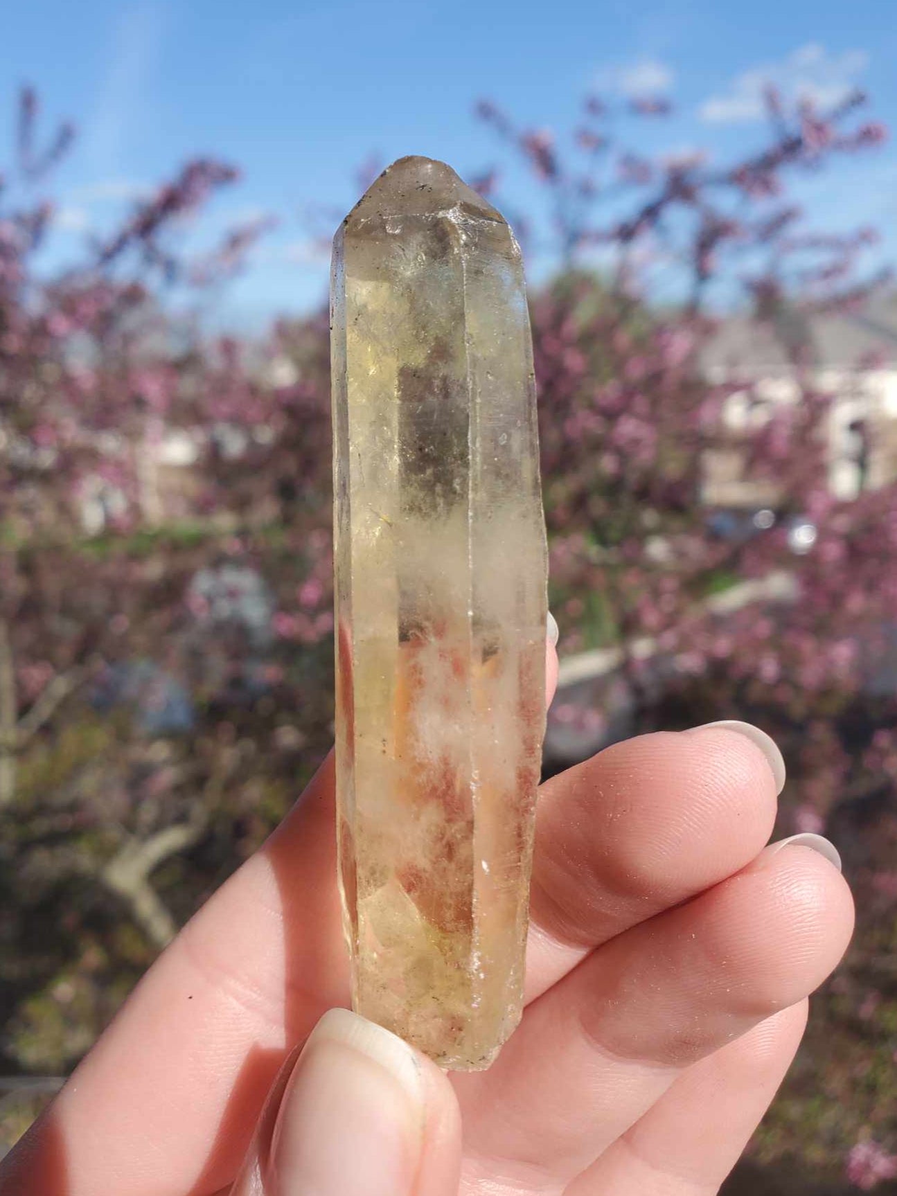 Natural Citrine Point, 3" - "Honey Stick"