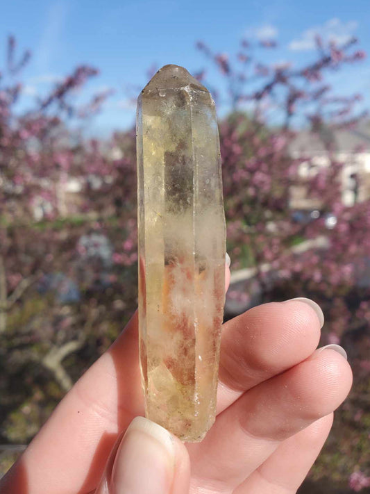 Natural Citrine Point, 3" - "Honey Stick"