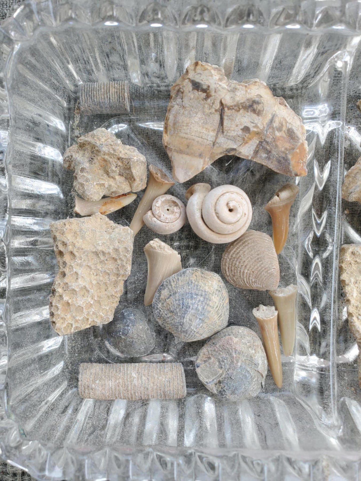 Fossil Bundles