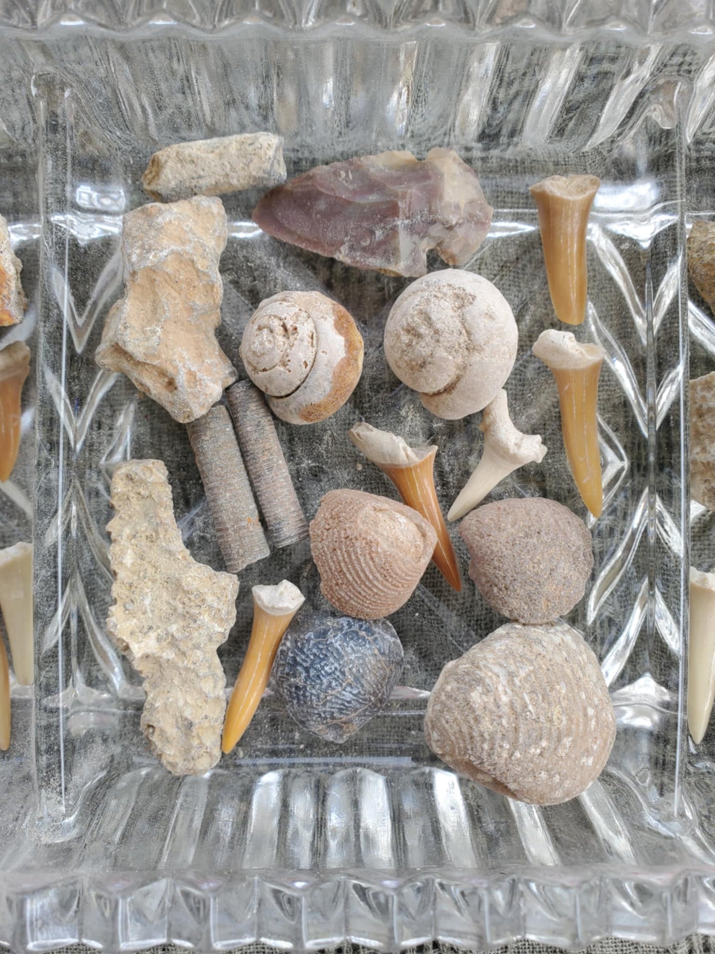 Fossil Bundles