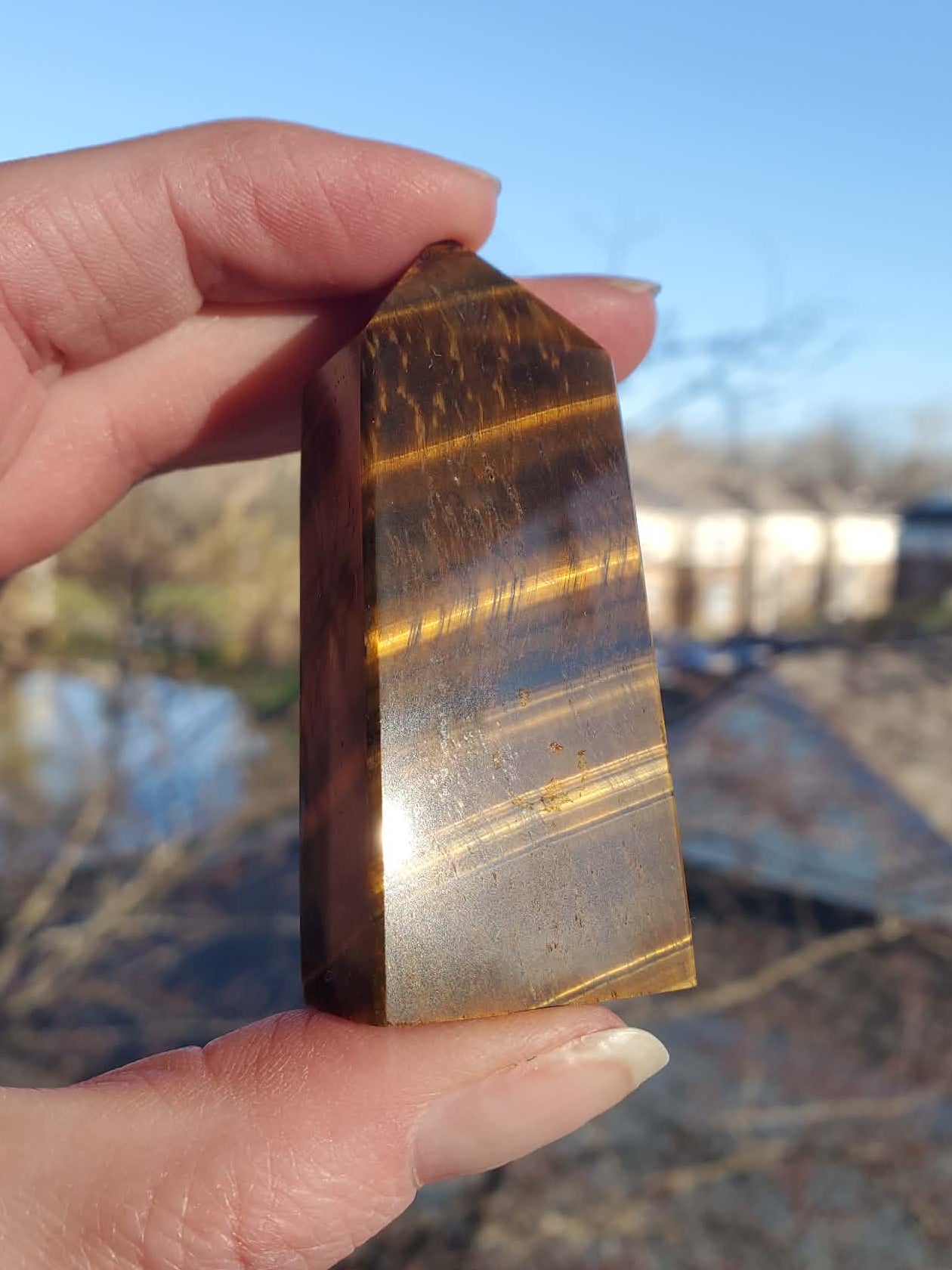 Tiger's Eye Tower #5