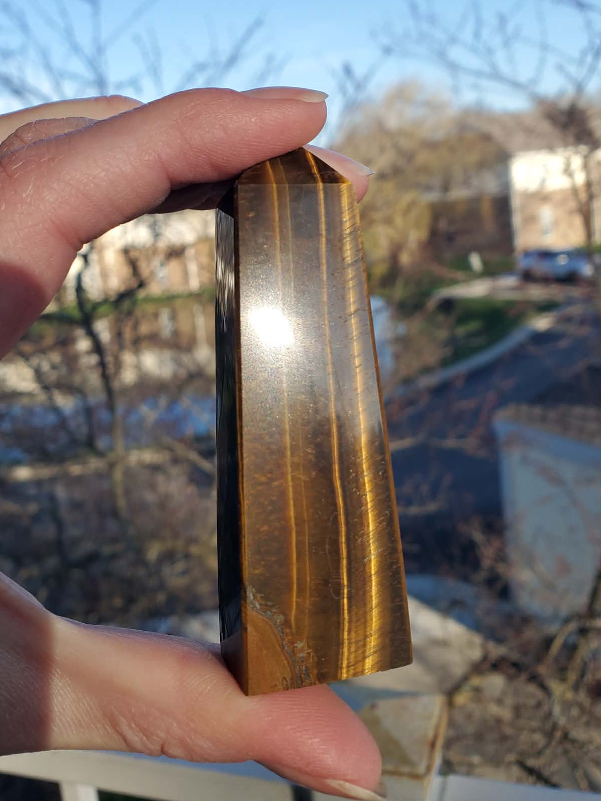 Tiger's Eye Tower #6