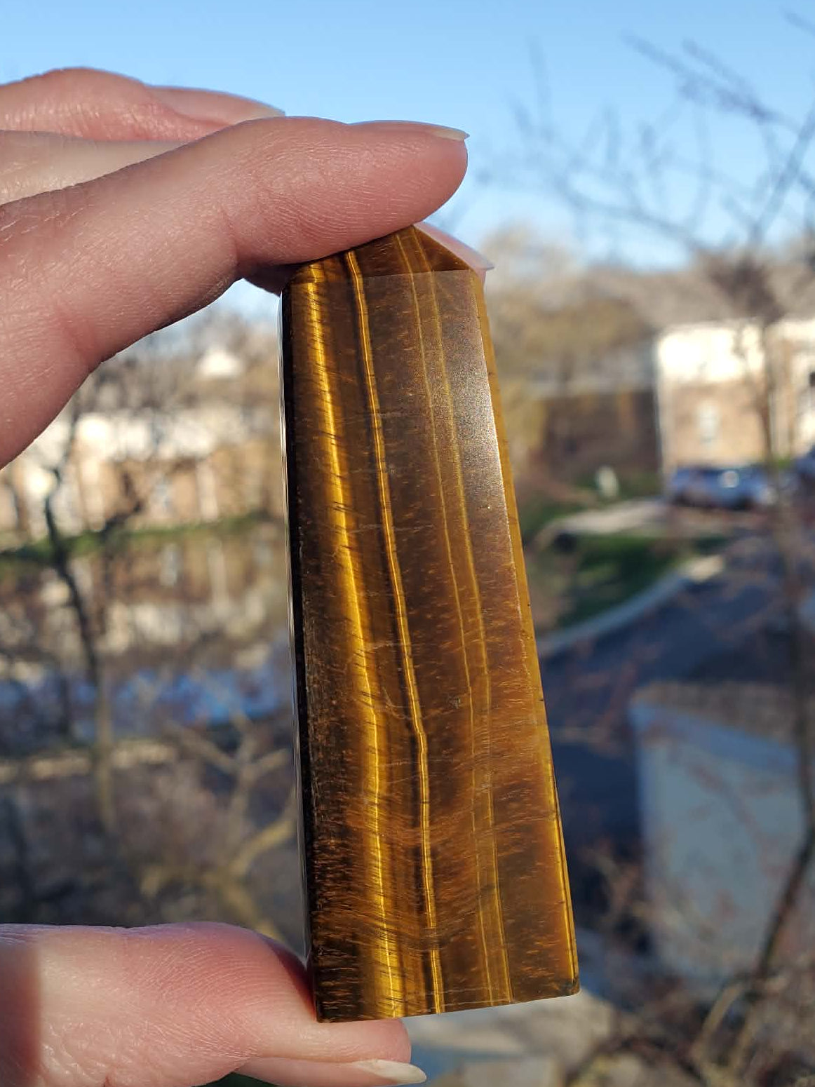 Tiger's Eye Tower #6