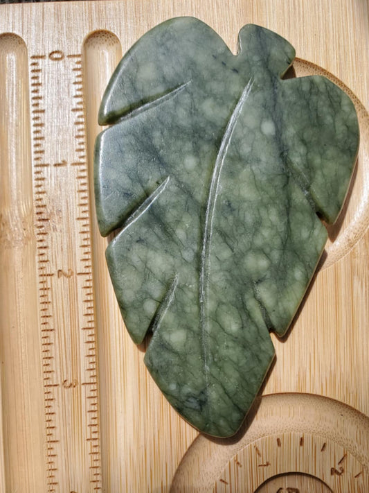 Green Jade Leaf